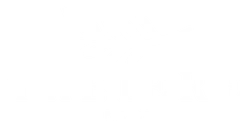 Théière